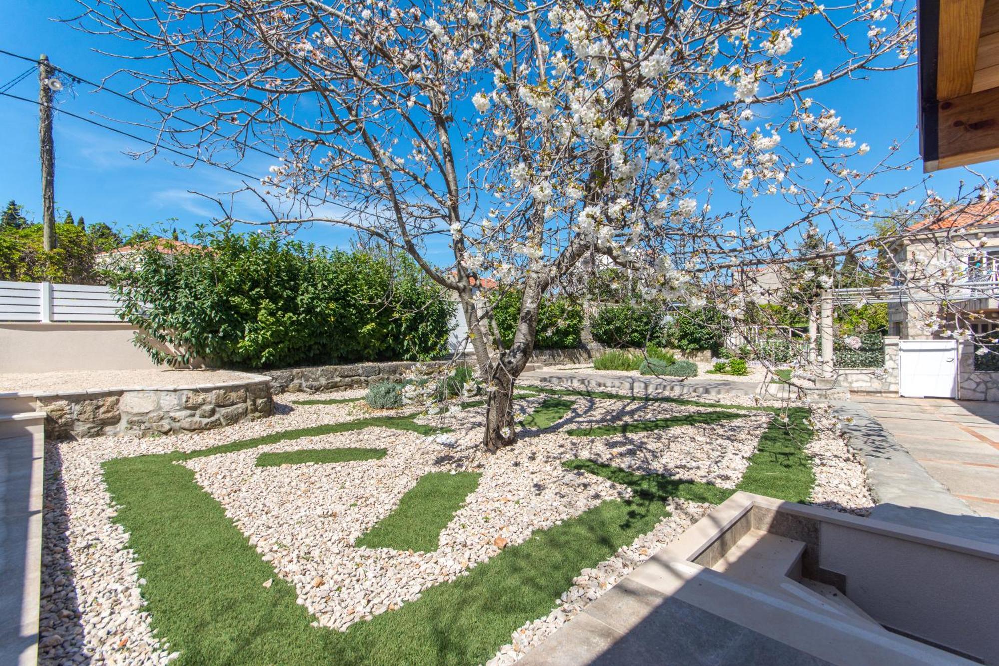 Apartments D&D Dubrovnik Eksteriør bilde