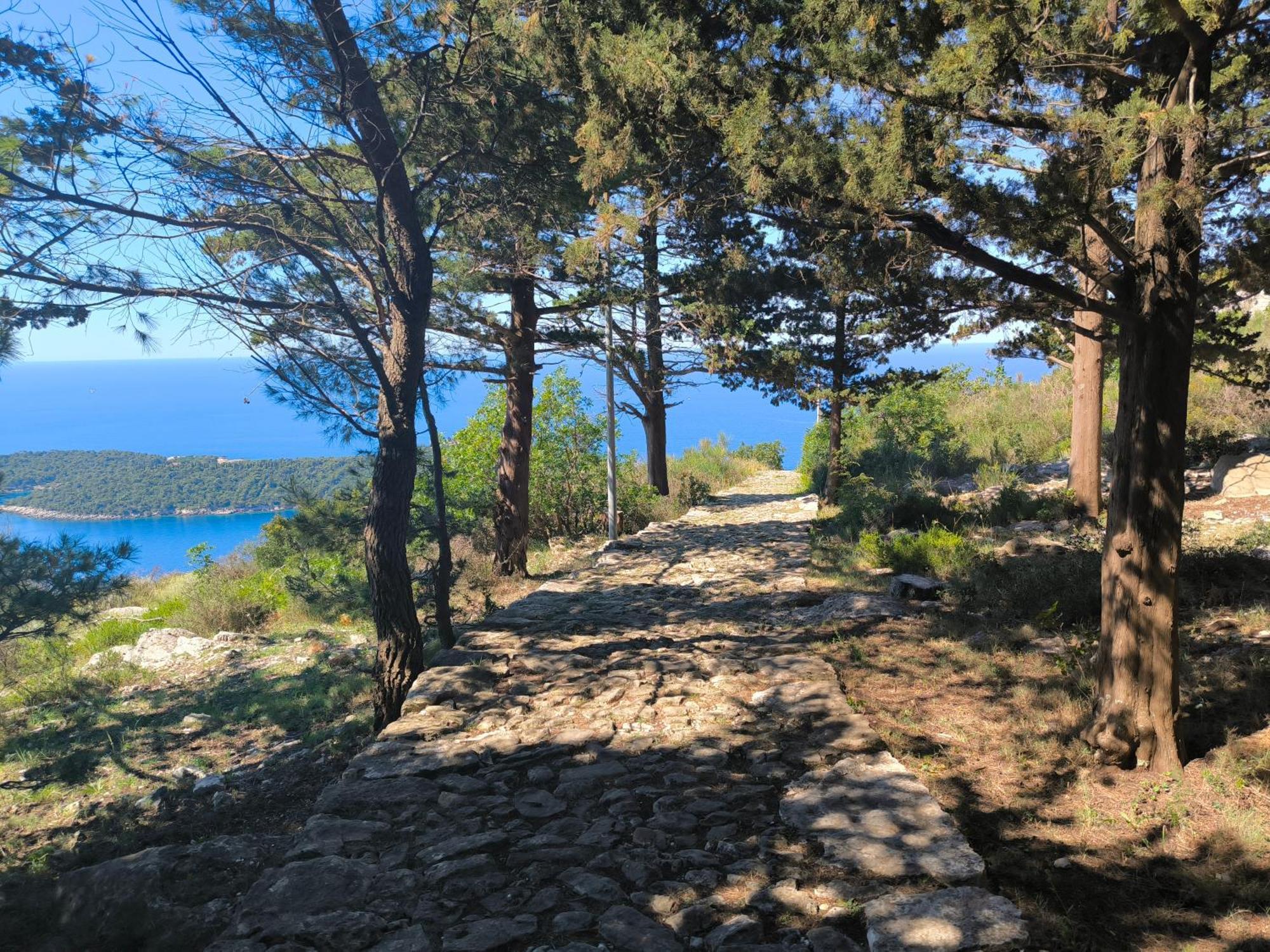 Apartments D&D Dubrovnik Eksteriør bilde